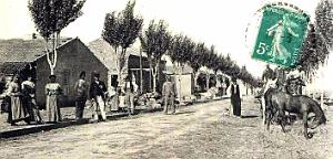 1192- Prevost-Paradol Avenue des Trembles2